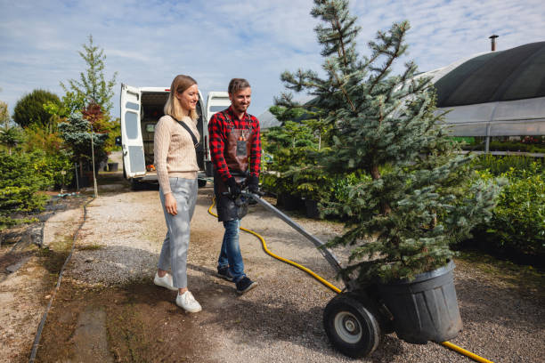 Wallace Ridge, LA Tree Removal Company